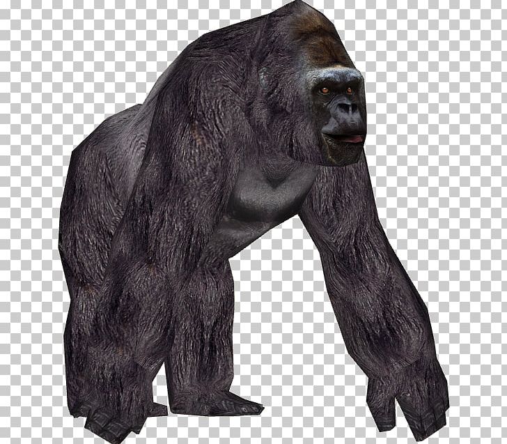 Zoo Tycoon 2 Common Chimpanzee Mountain Gorilla Primate Western Lowland Gorilla PNG, Clipart, Animal, Animals, Ape, Blue Fang Games, Chimpanzee Free PNG Download