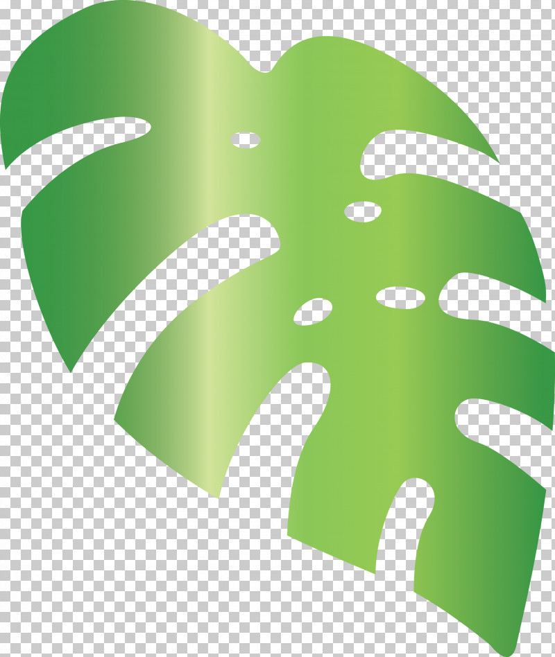 Monstera Tropical Leaf PNG, Clipart, Branch, Flower, Grasses, Leaf, Logo Free PNG Download