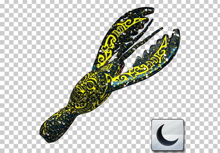 Angling Northern Pike Topwater Fishing Lure Fishing Tournament Kayak PNG, Clipart, Angling, Autumn, Bild, Com, Fishing Tournament Free PNG Download