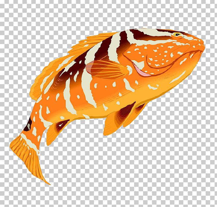 Grouper Fish PNG, Clipart, Animals, Clip Art, Color, Colored, Color Pencil Free PNG Download