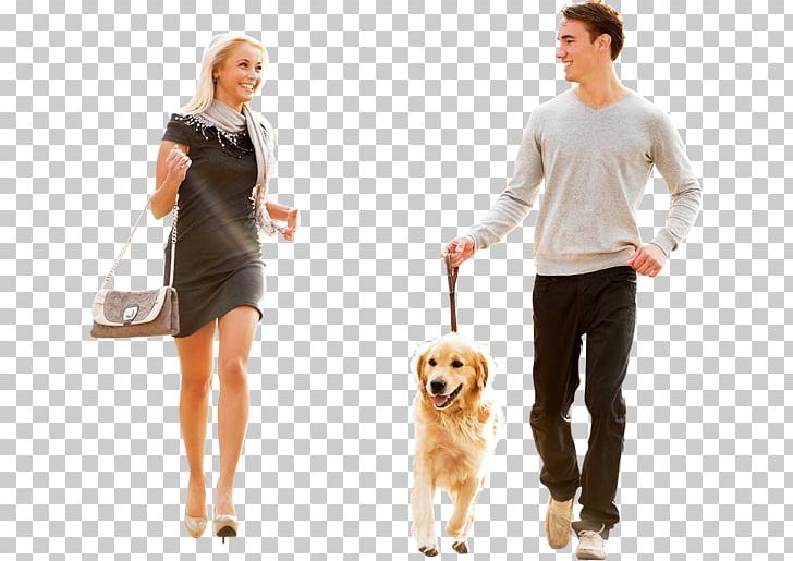 Puppy Great Dane Purebred Dog Dog Walking Woman PNG, Clipart,  Free PNG Download