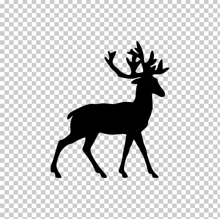 Rudolph Reindeer White-tailed Deer Santa Claus PNG, Clipart, Antler, Black And White, Blacktailed Deer, Christmas, Deer Free PNG Download