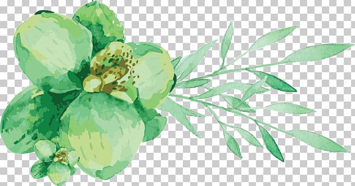 Watercolor Painting Engadine Leaf Vegetable Cut Flowers PNG, Clipart, Architecture, Art Museum, Branch, Color, Cut Flowers Free PNG Download