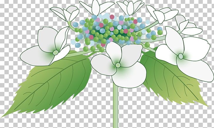 French Hydrangea あじさいの里 East Asian Rainy Season Sepal PNG, Clipart, Blog, Branch, Color, East Asian Rainy Season, Flora Free PNG Download