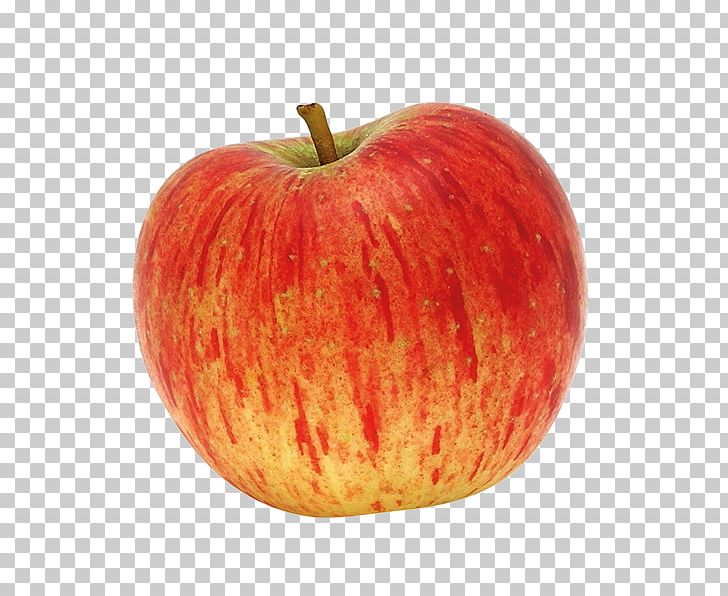 McIntosh Red Reinette Table Apple King Of The Pippins PNG, Clipart, Apple, Food, Fruit, Fruit Nut, Gala Free PNG Download