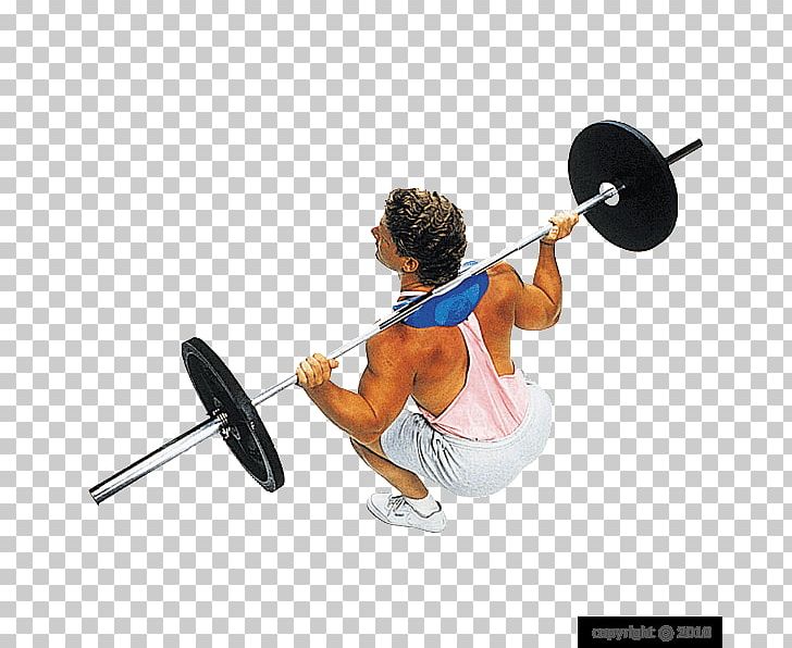 Squat Barbell Shoulder Trapezius Exercise PNG, Clipart, Arm, Balance, Barbell, Bodypump, Exercise Free PNG Download