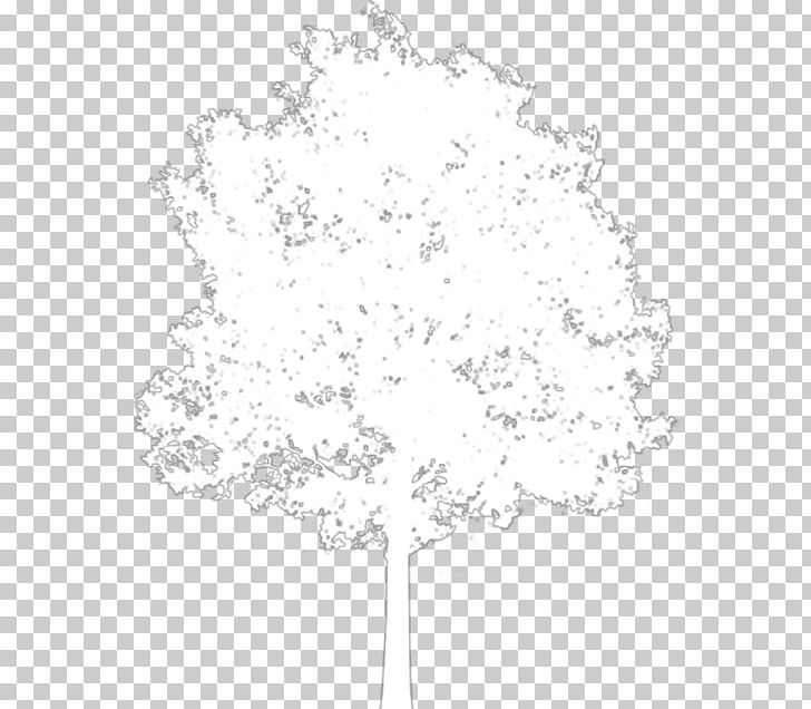 Flowering Plant Line Black Branching PNG, Clipart, Black, Black And White, Branch, Branching, Flower Free PNG Download