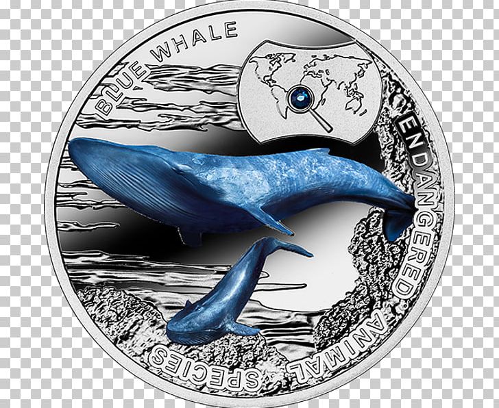 Silver Coin Endangered Species Amur Leopard PNG, Clipart, Amur Leopard, Blue Whale, Cetacea, Coin, Dolphin Free PNG Download