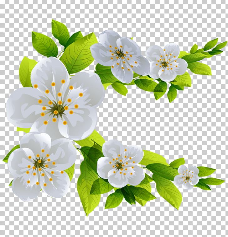 White Black White Branch PNG, Clipart, Adobe Illustrator, Background White, Black White, Blossom, Branch Free PNG Download