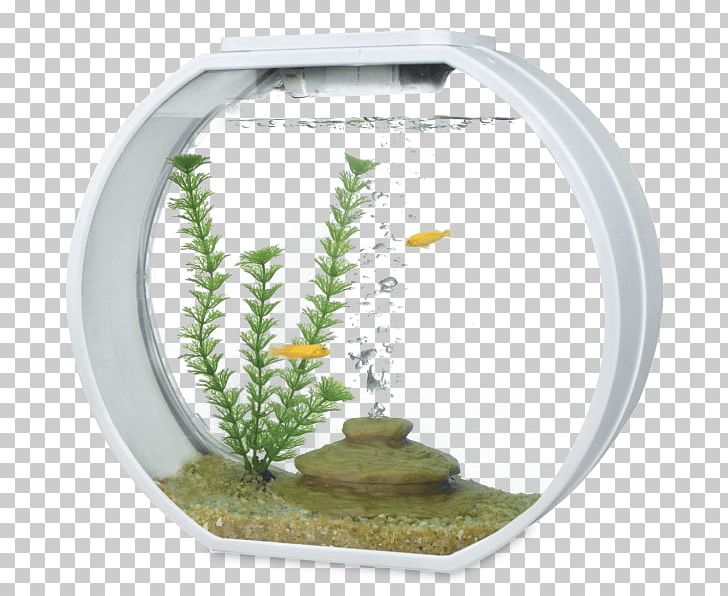 Aquarium Filters Siamese Fighting Fish Aquariums PNG, Clipart, Air Pump, Animals, Aquarium, Aquarium Filters, Aquariums Free PNG Download