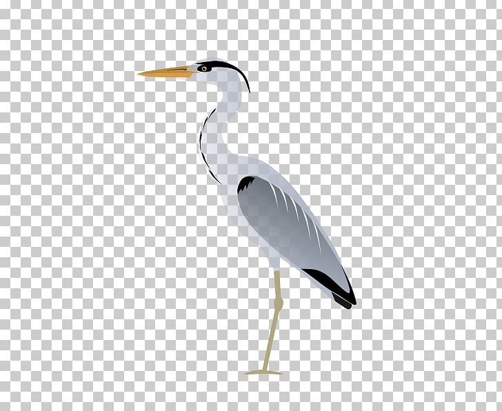 Bird Grey Heron Egret Flamingos PNG, Clipart, Animal, Animals, Ardea, Beak, Cattle Egret Free PNG Download