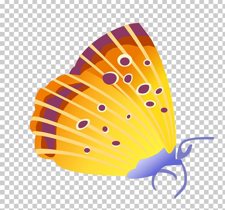 Butterfly Insect Cdr Euclidean PNG, Clipart, Adobe Illustrator, Blue Butterfly, Butterflies, Butterfly Group, Cartoon Free PNG Download