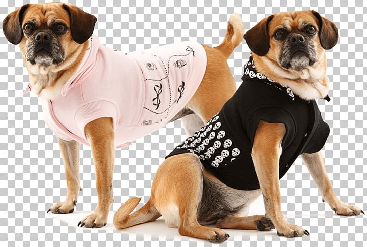 Puggle Puppy Dogs Refuge Home Dog Breed PNG, Clipart, Animals, Coat, Companion Dog, Designerhunder, Dog Free PNG Download