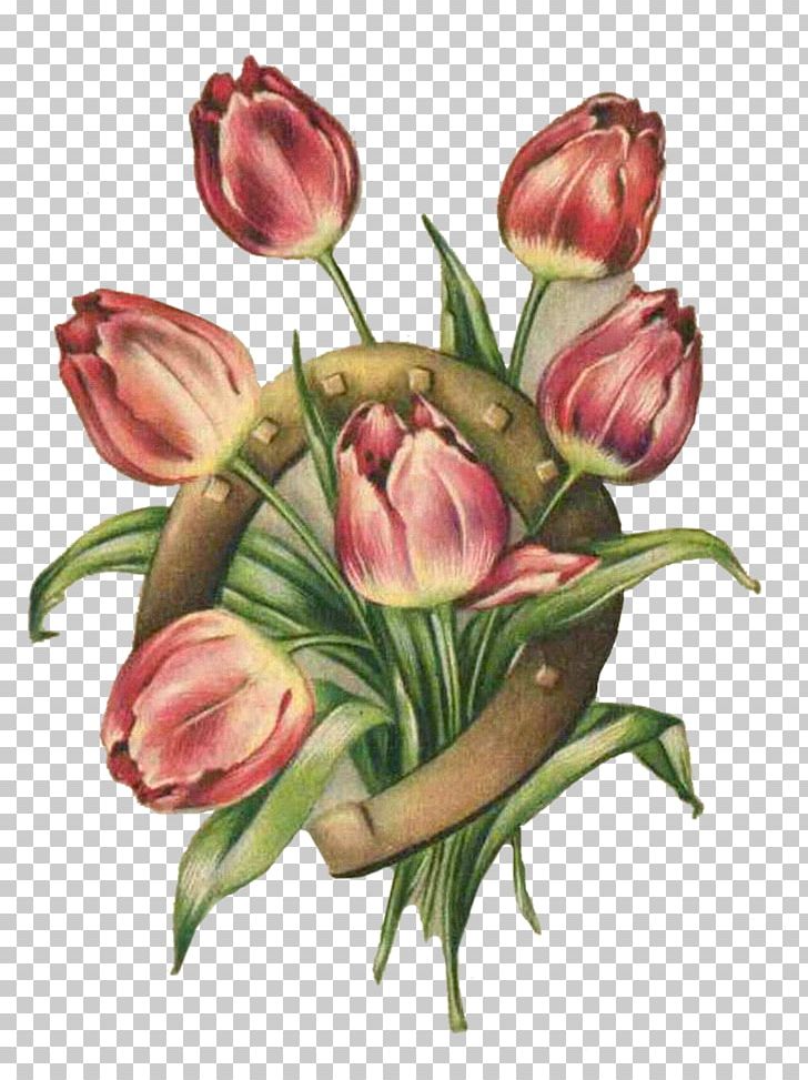Tulip Painting Flower Still Life PNG, Clipart, Baskets, Bokmxe4rke, Bud, Color, Colored Pencil Free PNG Download