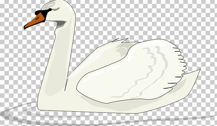 Black Swan Bird PNG, Clipart, Animals, Background White, Beak, Black White, Cygnini Free PNG Download