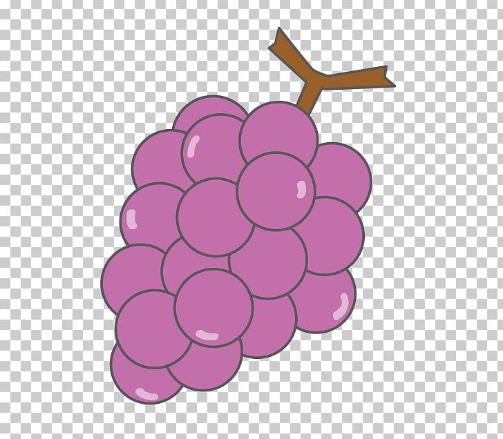 Grape PNG, Clipart, Circle, Flower, Flowering Plant, Food, Fruit Free PNG Download