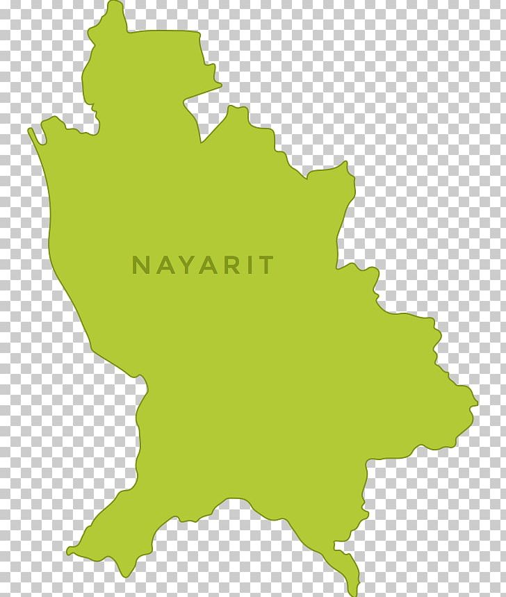 Nayarit Graphics Map Illustration PNG, Clipart, Drawing, Grass, Green, Leaf, Map Free PNG Download