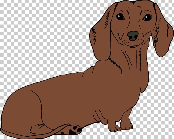 Dachshund Puppy Dog Breed Companion Dog Hound PNG, Clipart, Animals, Breed, Carnivoran, Cartoon, Companion Dog Free PNG Download