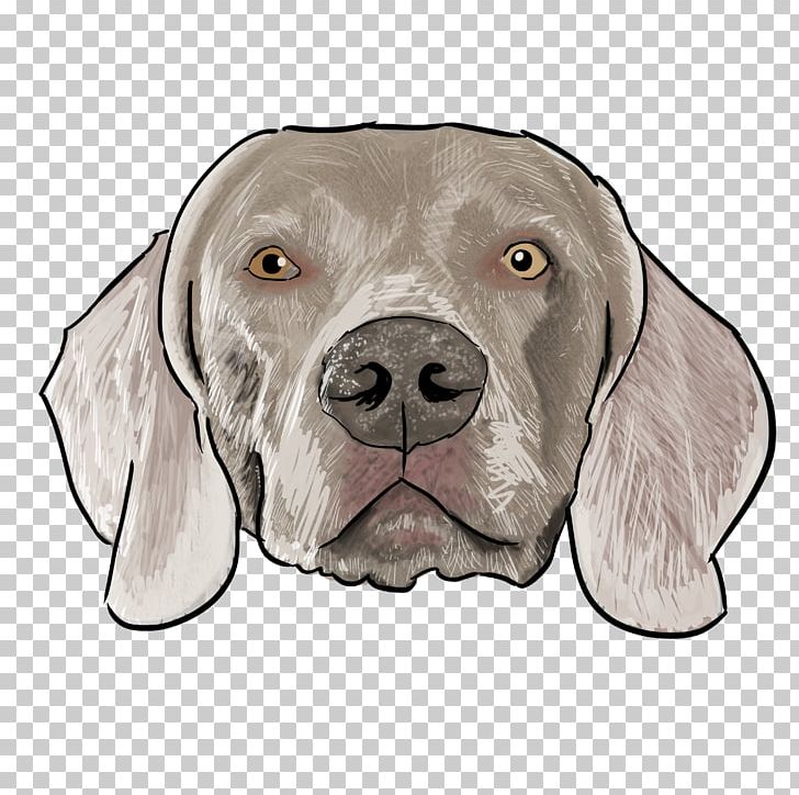 Weimaraner Dog Breed Puppy Boxer Pointer PNG, Clipart, Alaskan Malamute, Animals, Are You, Bluetick Coonhound, Boxer Free PNG Download