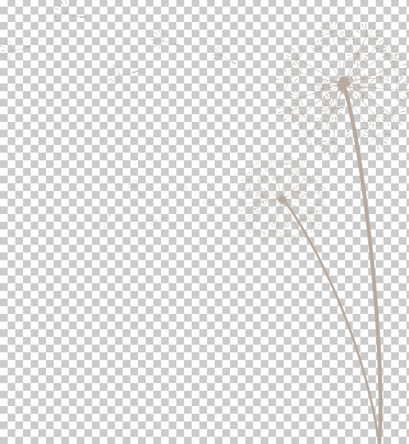 Flower Plant Stem Black And White Tree Flora PNG, Clipart, Biology, Black, Black And White, Dandelion, Flora Free PNG Download