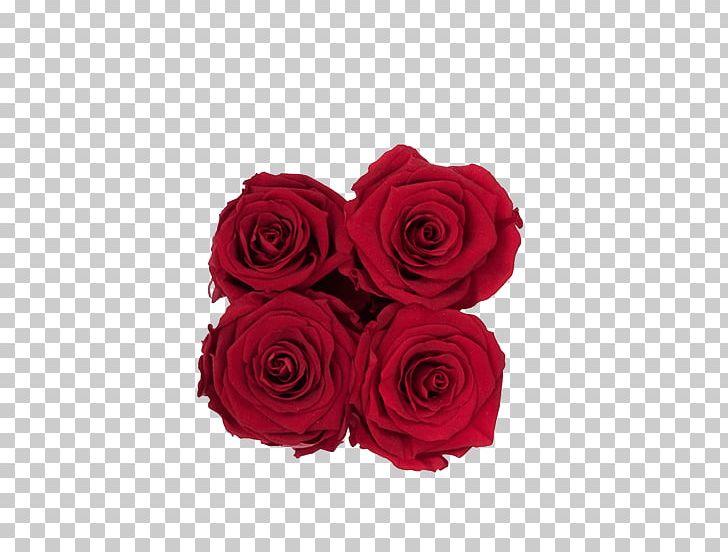 Garden Roses Red Flower Box Cut Flowers PNG, Clipart, Burgundy, Color, Cut Flowers, Floral Design, Flower Free PNG Download