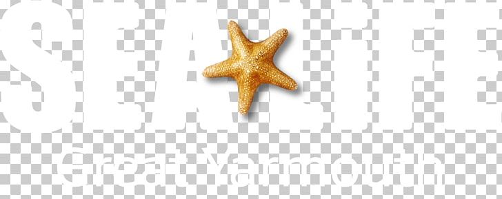Starfish Body Jewellery PNG, Clipart, Animals, Body Jewellery, Body Jewelry, Echinoderm, Invertebrate Free PNG Download
