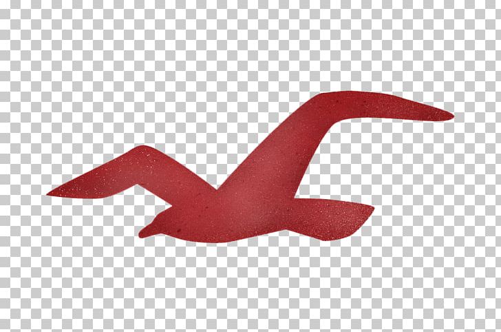 Download Iconic Hollister Seagull Logo Wallpaper | Wallpapers.com