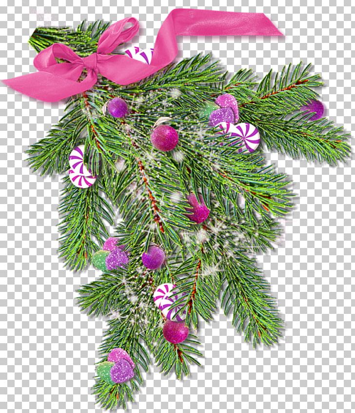 Spruce Christmas Ornament Fir Pine PNG, Clipart, Branch, Christmas, Christmas Decoration, Christmas Ornament, Conifer Free PNG Download