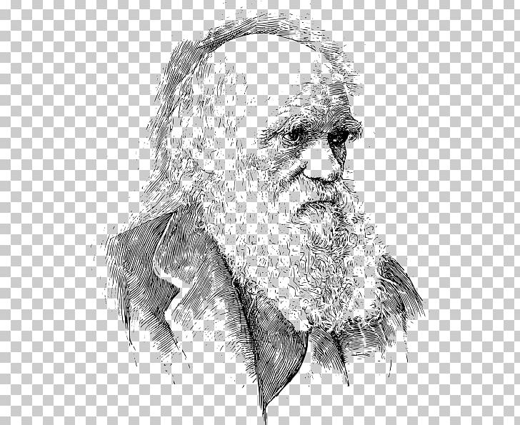 On The Origin Of Species The Voyage Of The Beagle Evolution Darwin Day Scientist PNG, Clipart, Biologist, Evolution, Face, Head, Human Free PNG Download