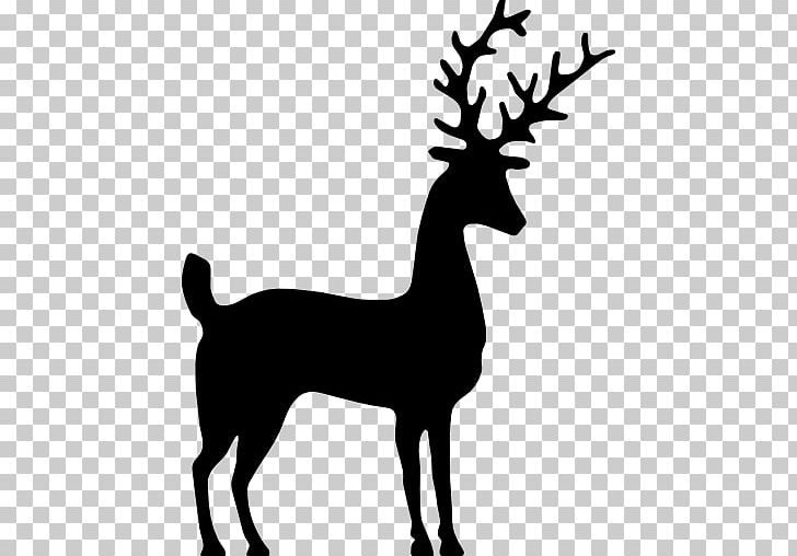 Reindeer Silhouette PNG, Clipart, Animals, Antler, Black And White ...