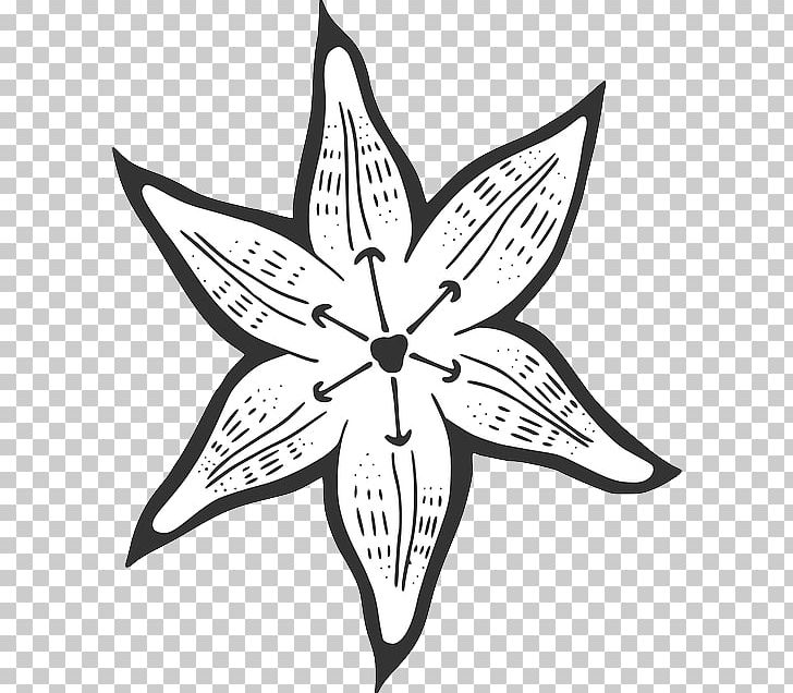 Drawing PNG, Clipart, Artwork, Black And White, Botany, Computer Icons, Drawing Free PNG Download