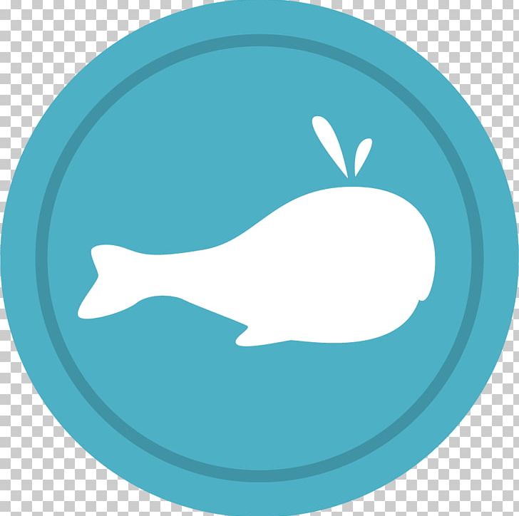 Moby-Dick Beluga Whale Marine Mammal PNG, Clipart, Animal, Animals, Aqua, Artificial Respiration, Azure Free PNG Download