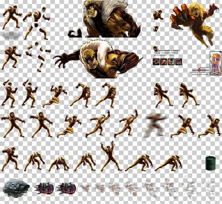 Sabretooth Marvel: Avengers Alliance X-23 Wolverine Magneto PNG, Clipart, Avengers, Bird, Classic Marvel Figurine Collection, Comic, Fauna Free PNG Download