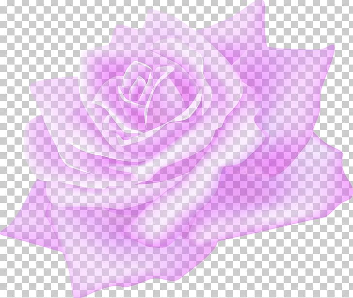 Garden Roses Flower PNG, Clipart, Cut Flowers, Desktop Wallpaper, Download, Drop, Encapsulated Postscript Free PNG Download