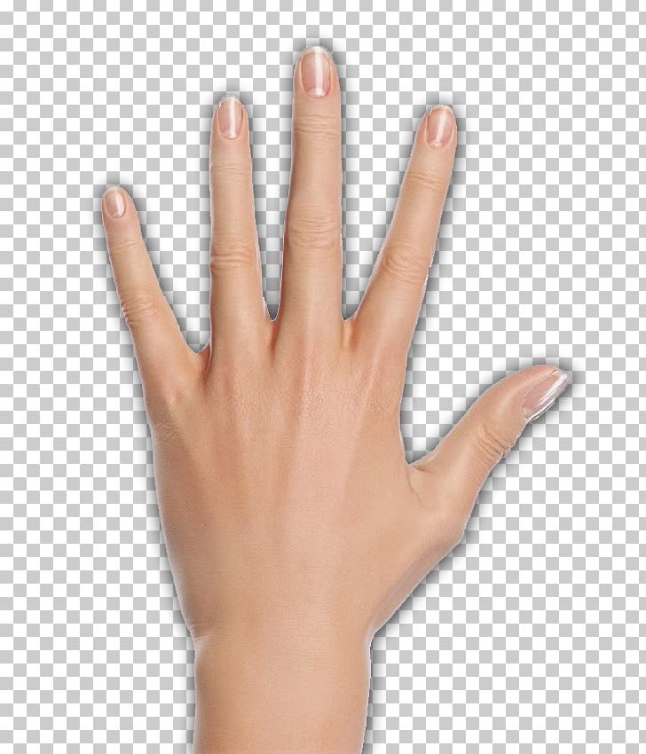 Thumb Woman Hand Model Palmistry PNG, Clipart, 2017, Arm, Character Structure, Digit, Feeling Free PNG Download