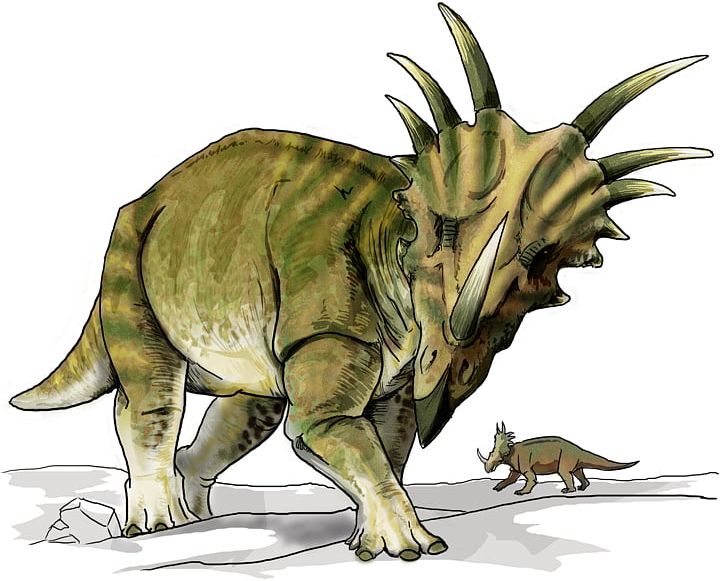 Utahceratops Dinosaur Provincial Park Ceratopsia Styracosaurus Kentrosaurus PNG, Clipart, Carnivore, Ceratopsia, Ceratopsidae, Cretaceous, Dinosaur Free PNG Download