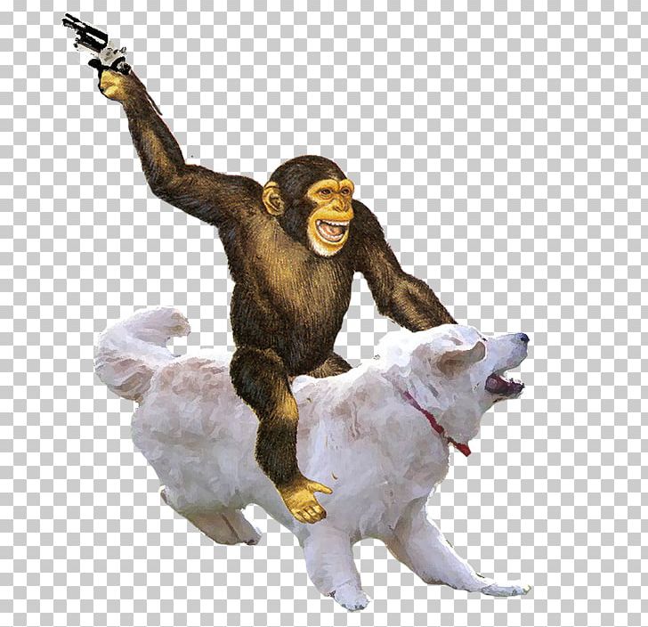 Monkey Ape Primate Simian PNG, Clipart, Animals, Ape, David Hasselhoff, Dog, Gun Free PNG Download