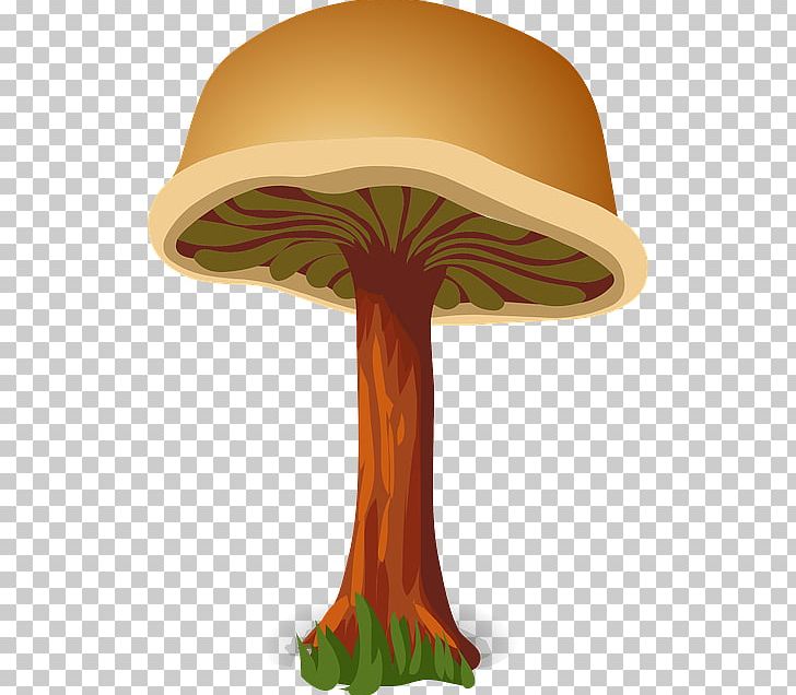 Mushroom Fungus PNG, Clipart, Brown, Cartoon, Drawing, Euclidean Vector, Food Free PNG Download