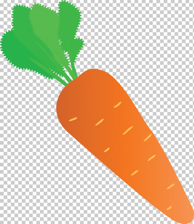 Carrot PNG, Clipart, Carrot, Geometry, Line, Mathematics, Meter Free PNG Download