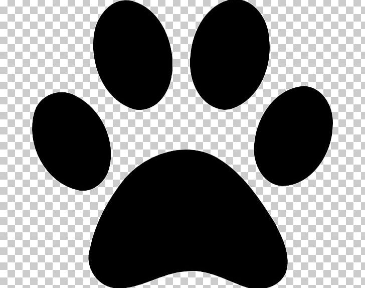 Paw Printing Rabbit PNG, Clipart, Animals, Animal Track, Black, Black And White, Circle Free PNG Download