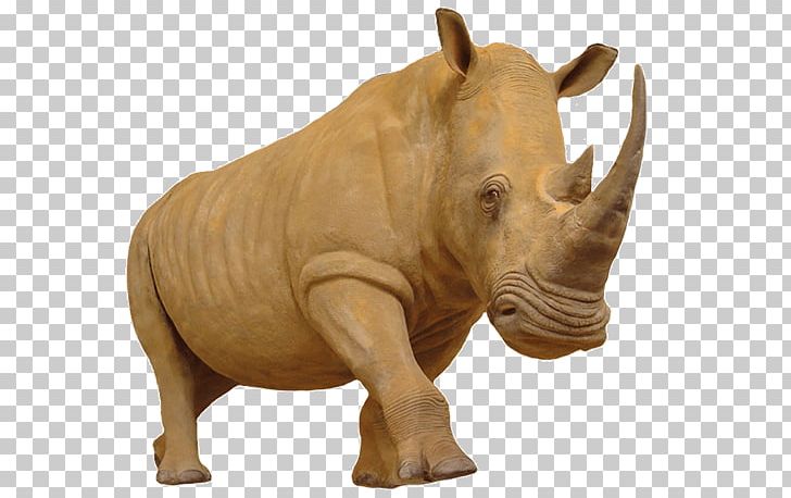 Rhinoceros Hippopotamus Horn Elephant PNG, Clipart, Animals, Basabizitza, Black Rhinoceros, Desktop Wallpaper, Elephant Free PNG Download