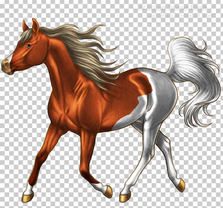 Arabian Horse Pony Mustang Stallion Foal PNG, Clipart, Bridle, Colt, Coming Soon, Fictional Character, Foal Free PNG Download