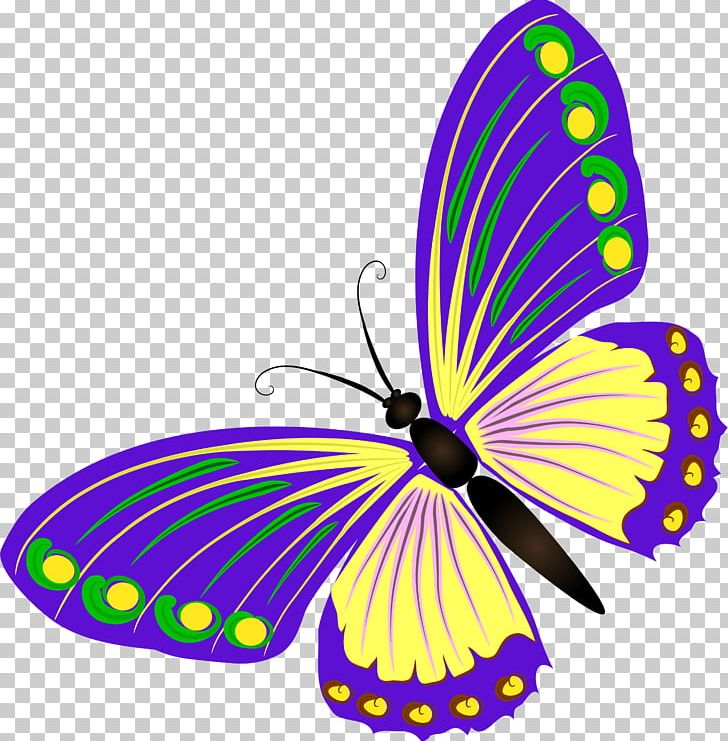 Butterfly Information PNG, Clipart, Arthropod, Brush Footed Butterfly, Butterflies And Moths, Butterfly, Digital Image Free PNG Download