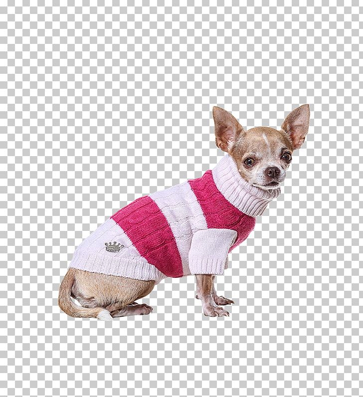 Dog Breed Chihuahua Companion Dog Dog Clothes Snout PNG, Clipart, Breed, Carnivoran, Chihuahua, Clothes, Clothing Free PNG Download