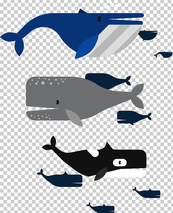 Moby-Dick Beluga Whale Euclidean PNG, Clipart, Animals, Baleen Whale, Beluga Vector, Blue Whale, Encapsulated Postscript Free PNG Download