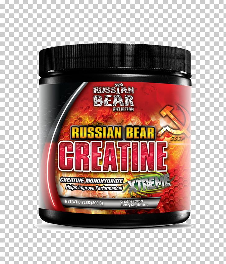 Russian Bear Russian Bear Brand Flavor PNG, Clipart, Animals, Bear, Brand, Creatine, Flavor Free PNG Download