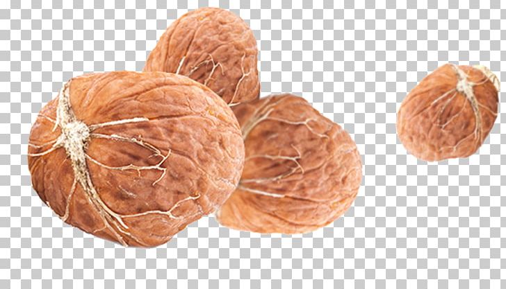 Walnut Peel Auglis Fruit PNG, Clipart, Auglis, Banana Peel, Commodity, Designer, Dots Per Inch Free PNG Download