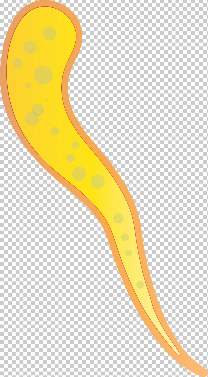 Yellow Flatworm PNG, Clipart, Flatworm, Paint, Virus, Watercolor, Wet Ink Free PNG Download