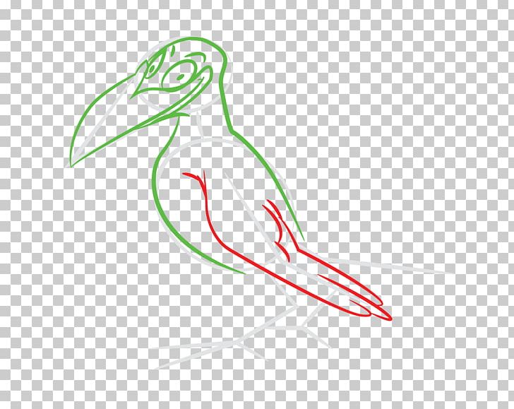 Beak /m/02csf Illustration Drawing PNG, Clipart, Amphibian, Arm, Art, Artwork, Beak Free PNG Download