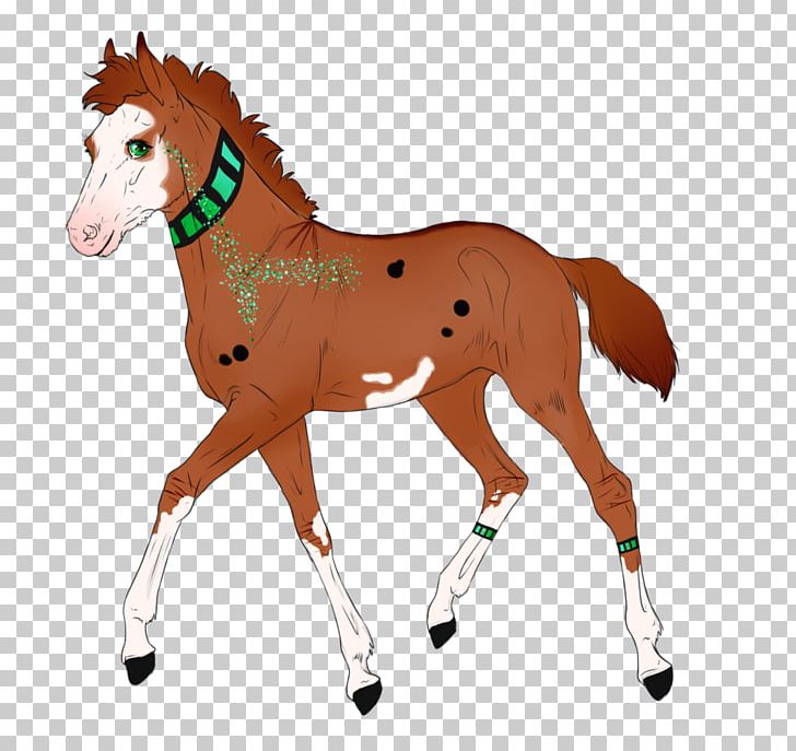 Mustang Mare Stallion Foal Pony PNG, Clipart, Animal Figure, Breed, Bridle, Cheyne Walk Orthodontics, Colt Free PNG Download